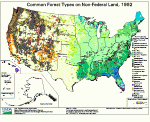 Forests,USA